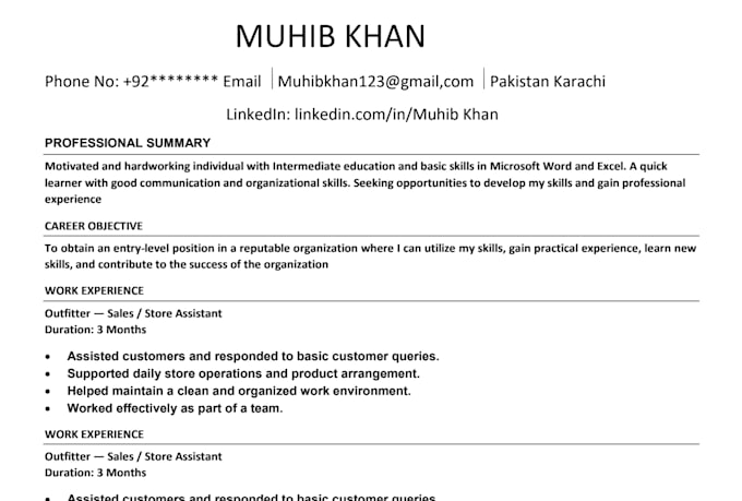 create an ats friendly  professional  resume CV